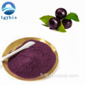 Meilleur prix ACAI BERRY Extrait maqui-berry Powder